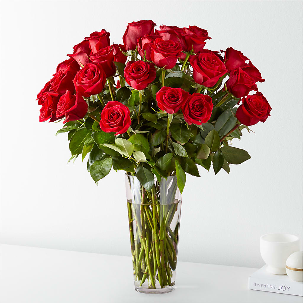 Long Stem Red Rose Bouquet – ALANA'S FLOWERS & GIFTS, Etobicoke ON