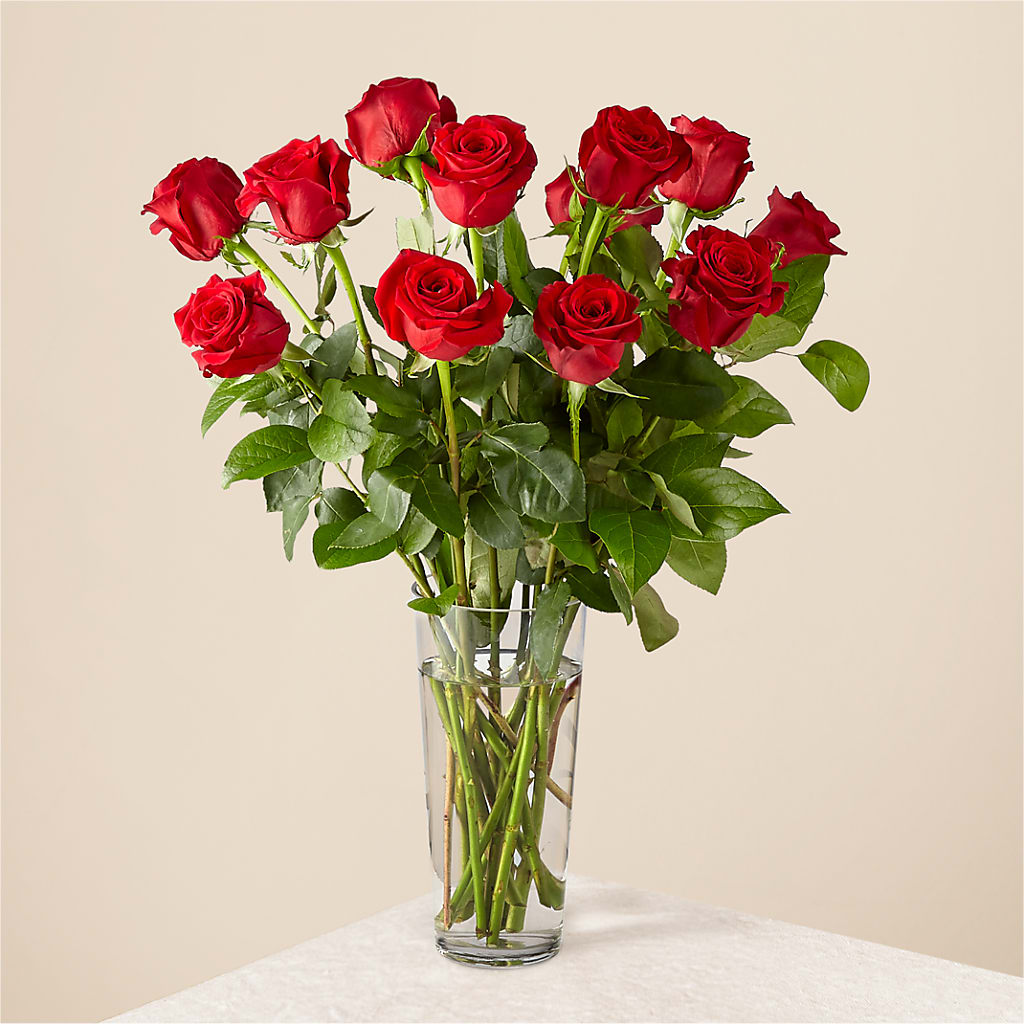 Long Stem Red Rose Bouquet – ALANA'S FLOWERS & GIFTS, Etobicoke ON