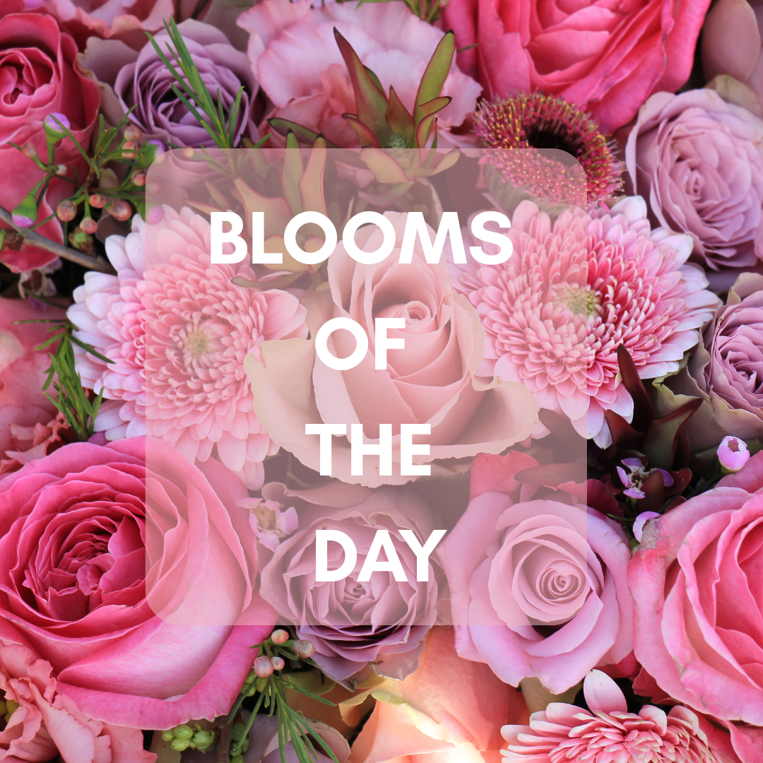 Blooms Of The Day Hand-Tied