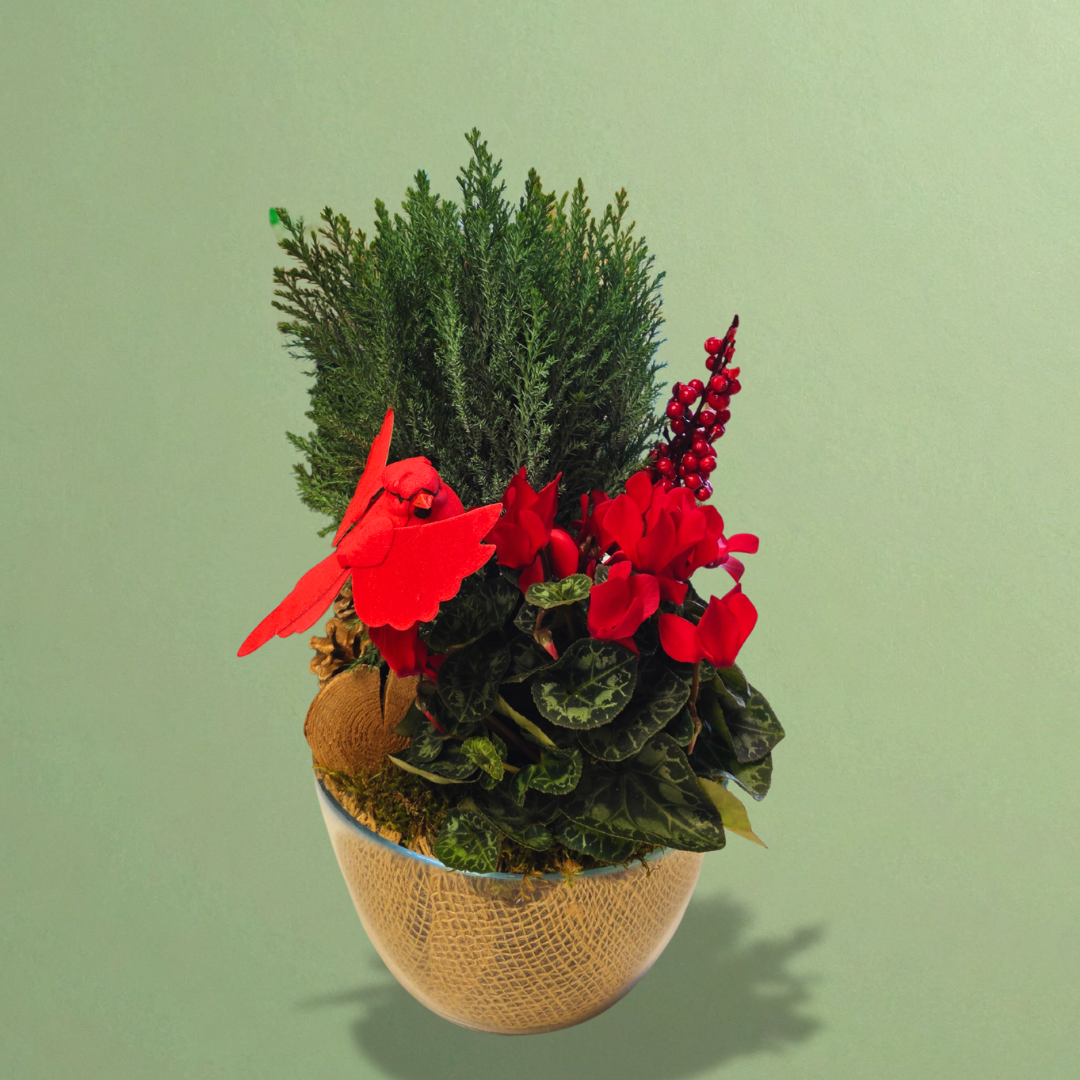 Rustic Charm Planter