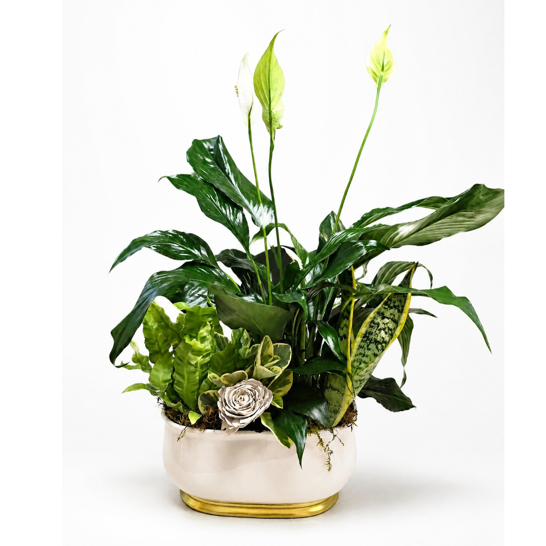 Peaceful Haven – ALANA'S FLOWERS & GIFTS, Etobicoke ON