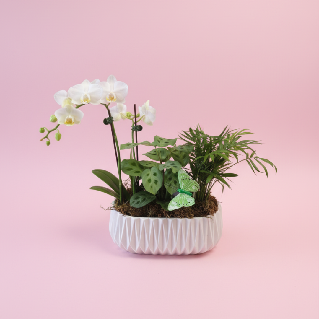 Paradise Collection Garden