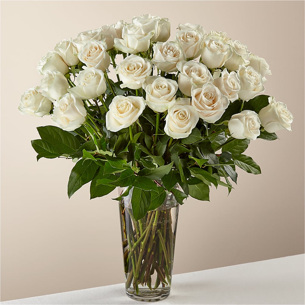 Long Stem White Rose Bouquet – ALANA'S FLOWERS & GIFTS, Etobicoke ON