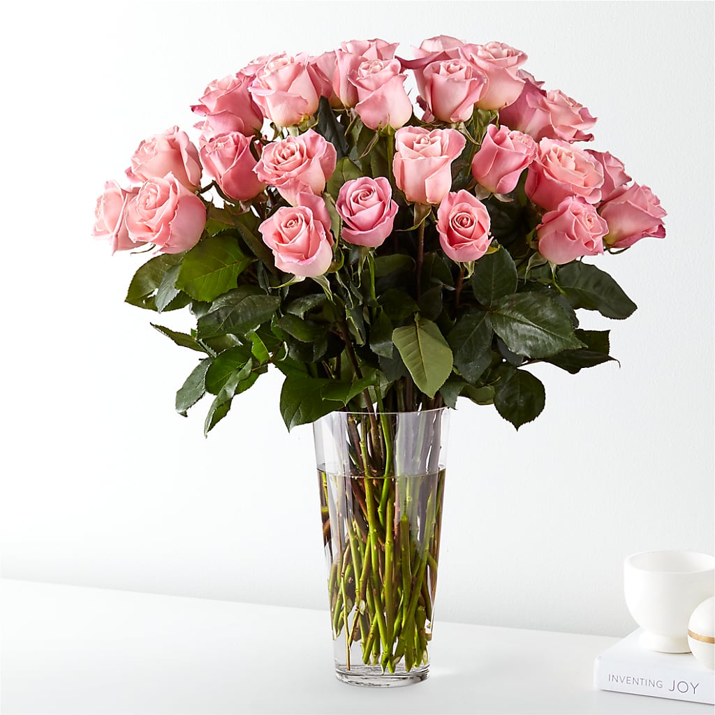 Long Stem Pink Rose Bouquet – ALANA'S FLOWERS & GIFTS, Etobicoke ON