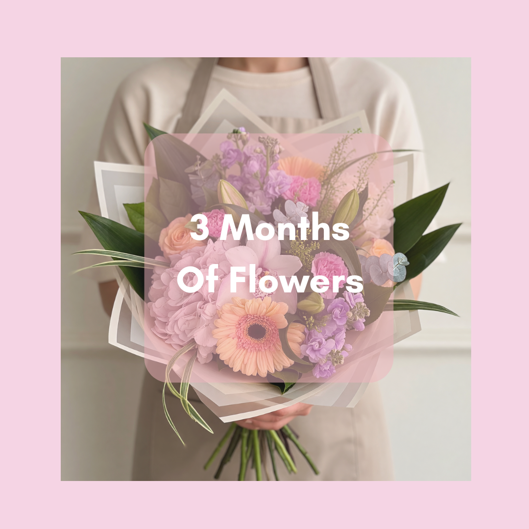 The Bloom Club – ALANA'S FLOWERS & GIFTS, Etobicoke ON