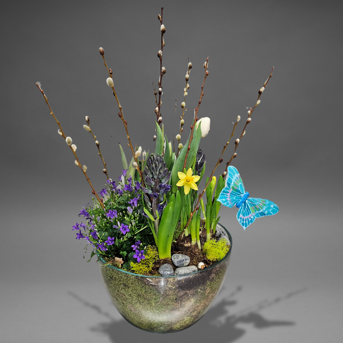 Springtime Splendor Bulb Garden