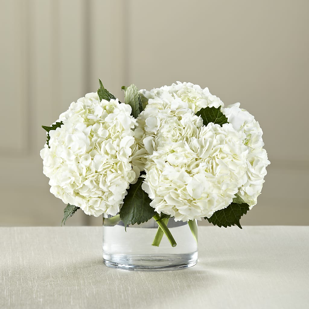 White Hydrangea Bouquet – ALANA'S FLOWERS & GIFTS, Etobicoke ON
