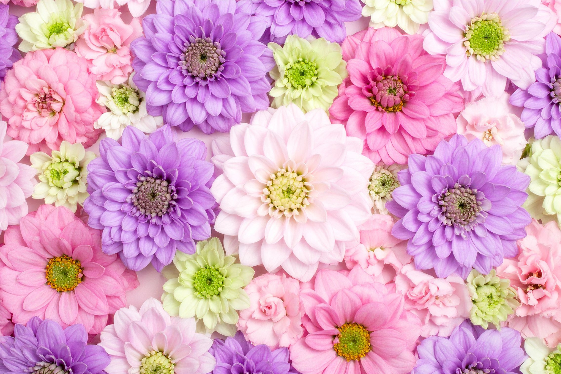 Hand-Tied Bouquets
