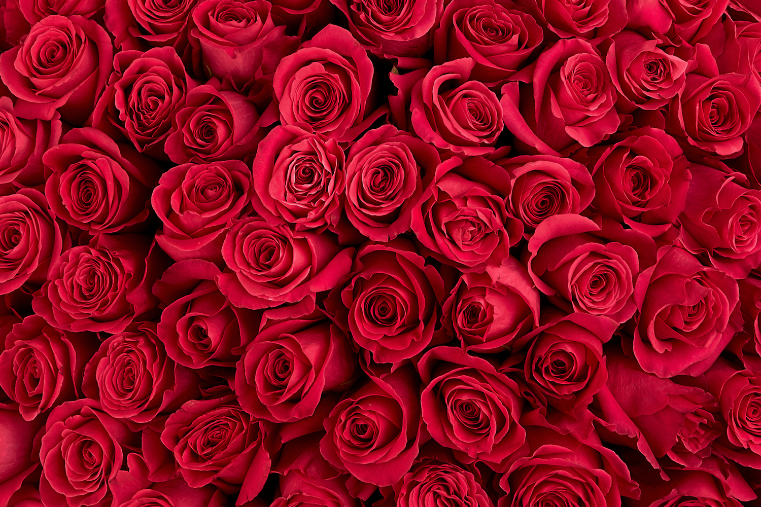Love & Anniversary