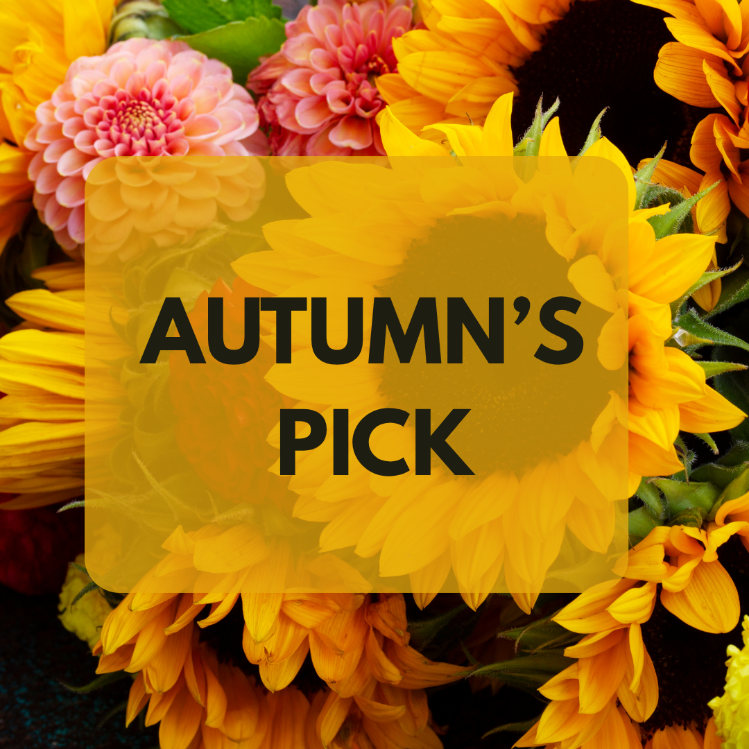 Autumn’s Pick – ALANA'S FLOWERS & GIFTS, Etobicoke ON
