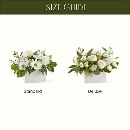 Fresh Linen Box Bouquet – ALANA'S FLOWERS & GIFTS, Etobicoke ON