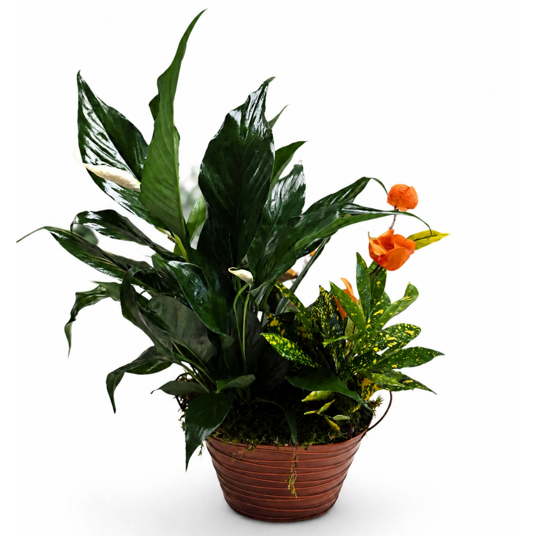 Sunset Garden – ALANA'S FLOWERS & GIFTS, Etobicoke ON