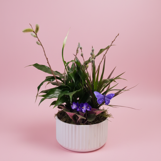 Secret Meadow Garden