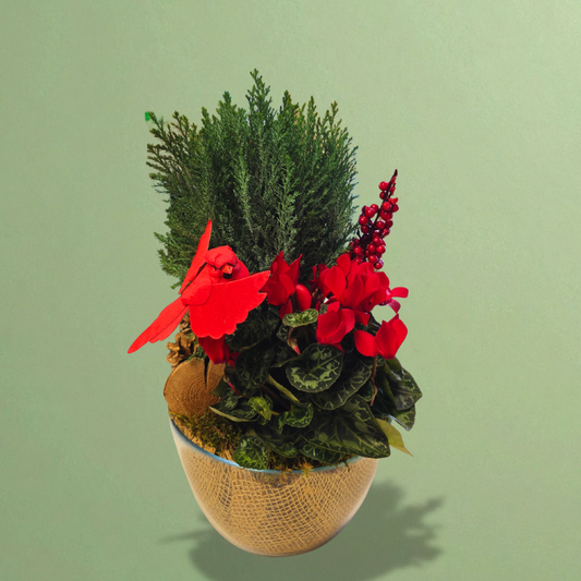 Rustic Charm Planter