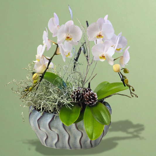 Arctic Bloom Planter