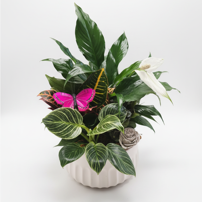 Secret Garden – ALANA'S FLOWERS & GIFTS, Etobicoke ON
