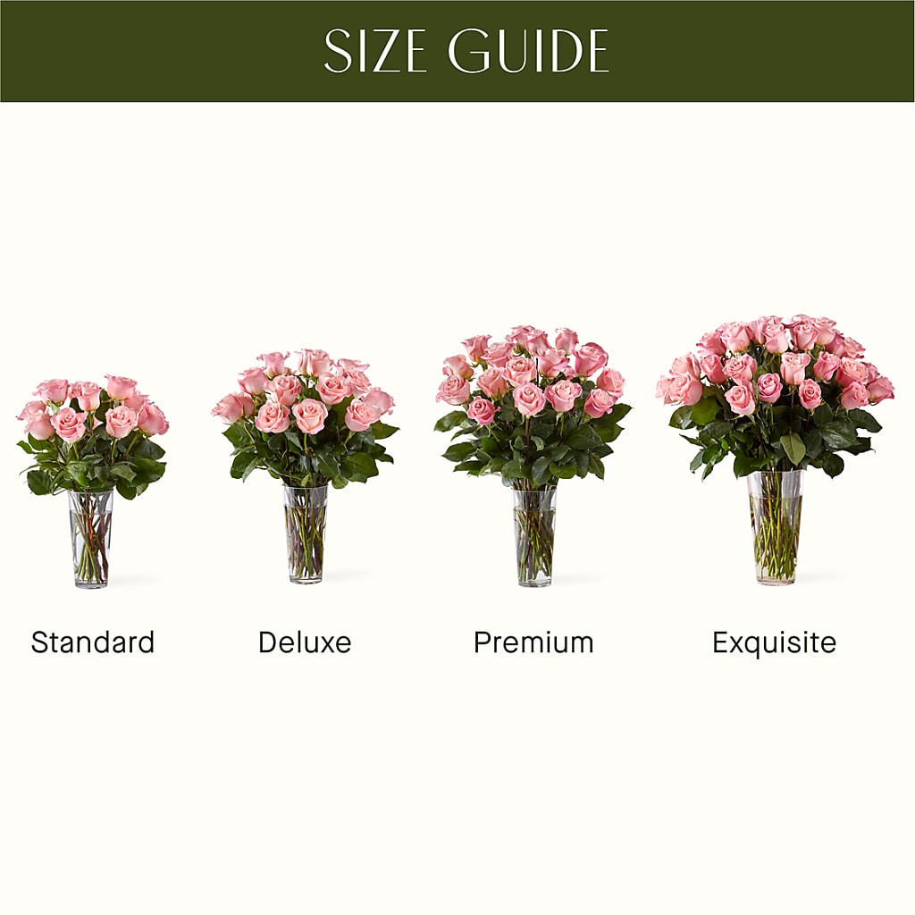 Long Stem Pink Rose Bouquet – ALANA'S FLOWERS & GIFTS, Etobicoke ON