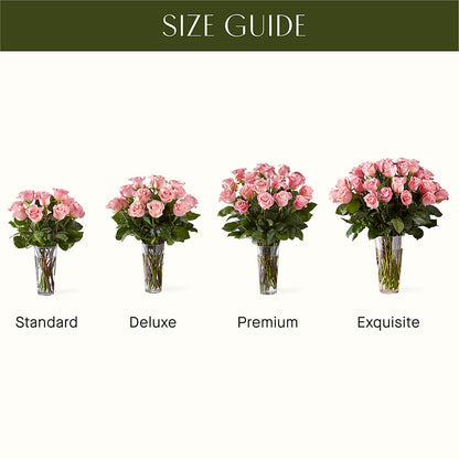 Long Stem Pink Rose Bouquet – ALANA'S FLOWERS & GIFTS, Etobicoke ON