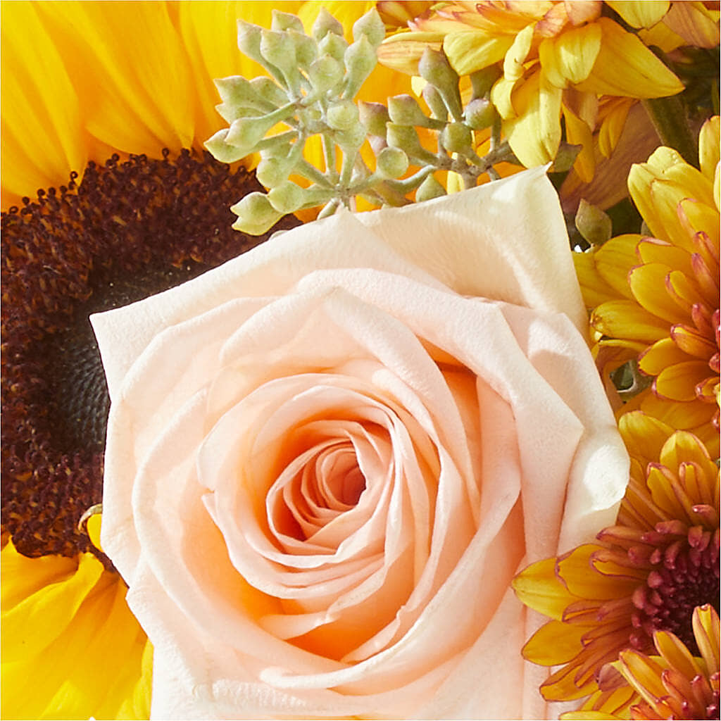 Pumpkin to Talk About Bouquet – ALANA'S FLOWERS & GIFTS, Etobicoke ON