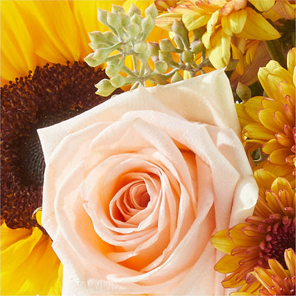 Pumpkin to Talk About Bouquet – ALANA'S FLOWERS & GIFTS, Etobicoke ON