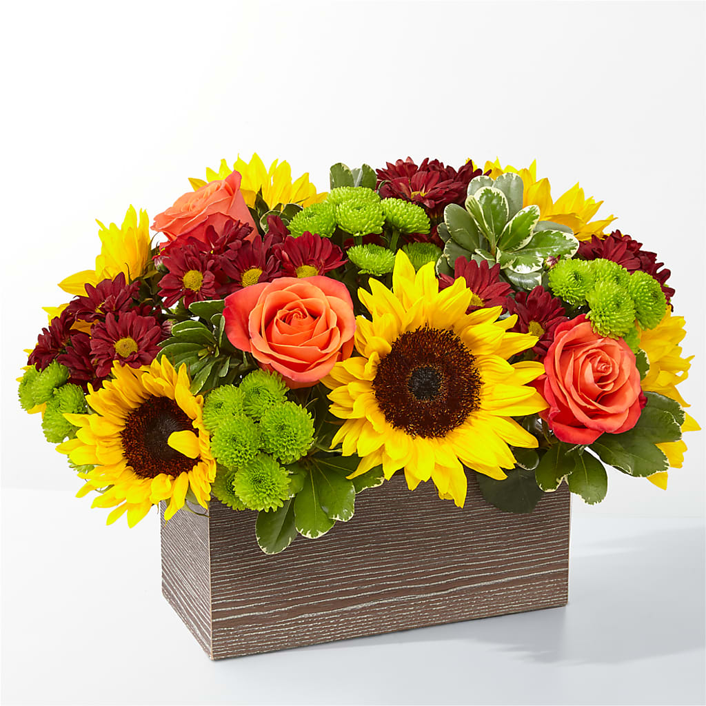 Happy Harvest Garden – ALANA'S FLOWERS & GIFTS, Etobicoke ON