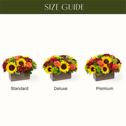 Happy Harvest Garden – ALANA'S FLOWERS & GIFTS, Etobicoke ON