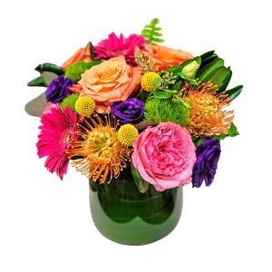 Sundance – ALANA'S FLOWERS & GIFTS, Etobicoke ON