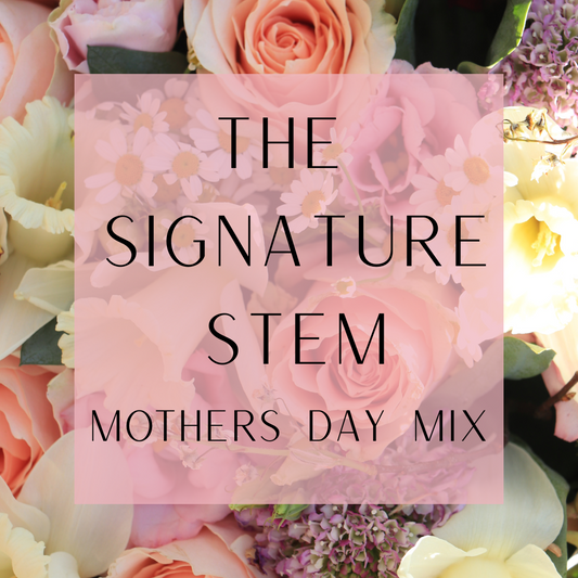The Signature Stem