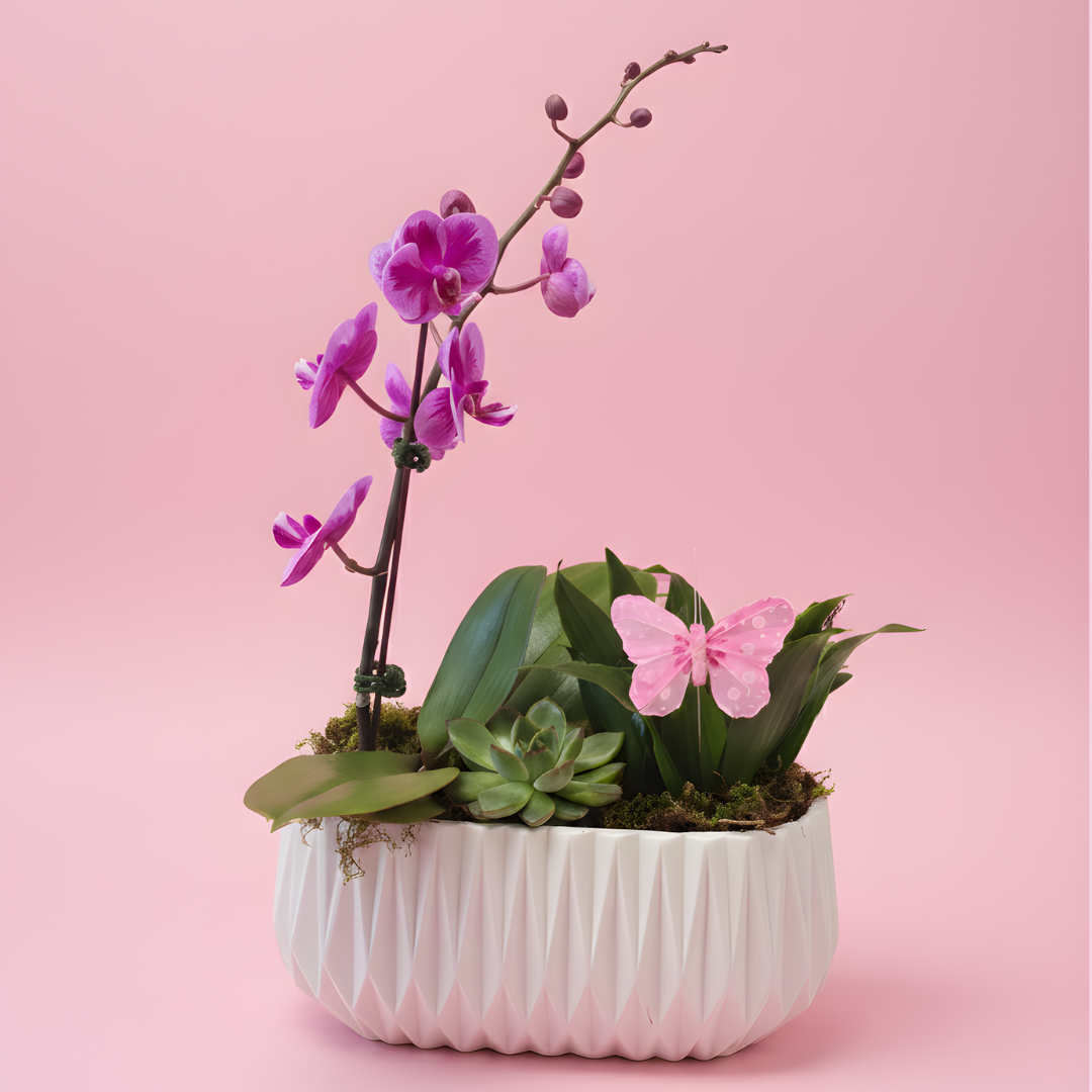 Parisian Pink Garden