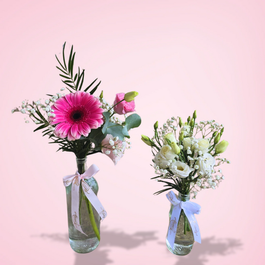 Bloom & Blossom Duo