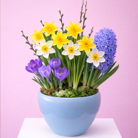 Little Spring Garden