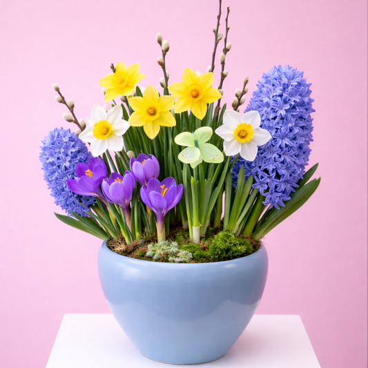 Little Spring Garden