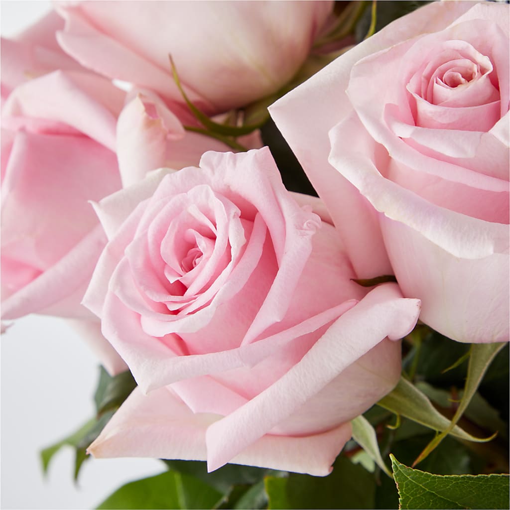 Picture Perfect Pink Rose Bouquet – ALANA'S FLOWERS & GIFTS, Etobicoke ON