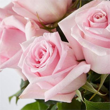 Picture Perfect Pink Rose Bouquet – ALANA'S FLOWERS & GIFTS, Etobicoke ON