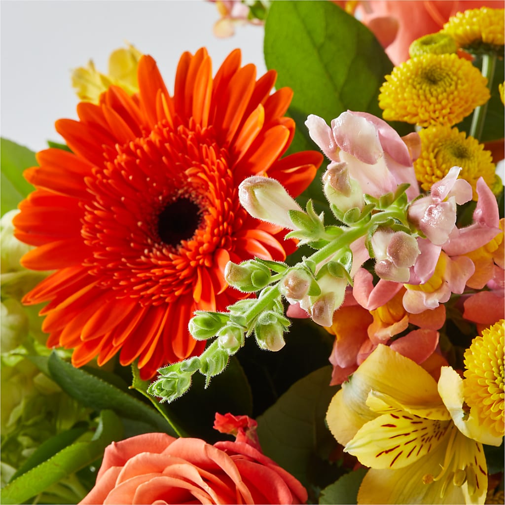 Autumn Sunshine Bouquet – ALANA'S FLOWERS & GIFTS, Etobicoke ON