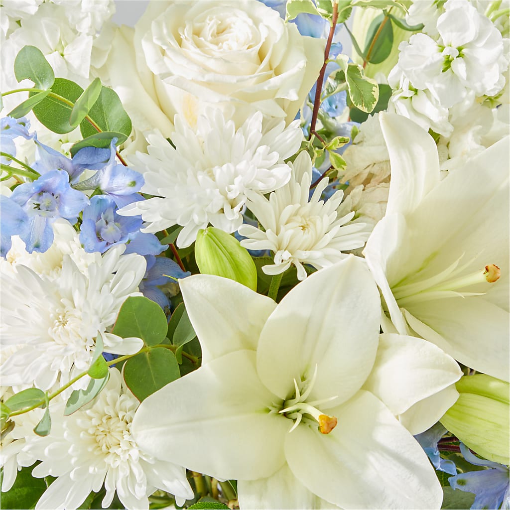 Peace of Mind Bouquet – ALANA'S FLOWERS & GIFTS, Etobicoke ON