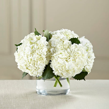 White Hydrangea Bouquet – ALANA'S FLOWERS & GIFTS, Etobicoke ON