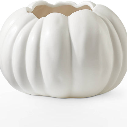 Pumpkin to Talk About Bouquet – ALANA'S FLOWERS & GIFTS, Etobicoke ON