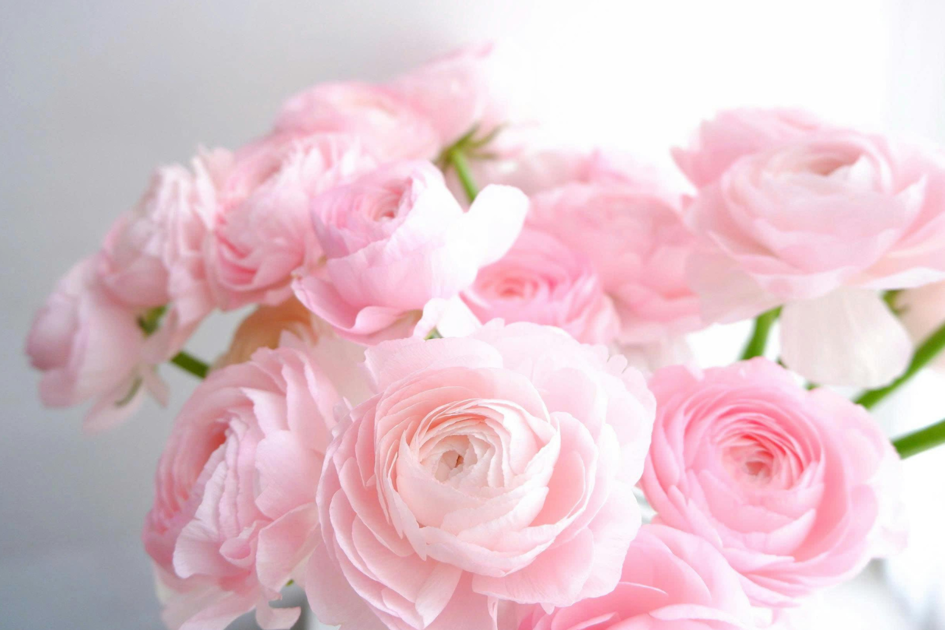 homepageBannerMetadata_Image_1778688247098.png